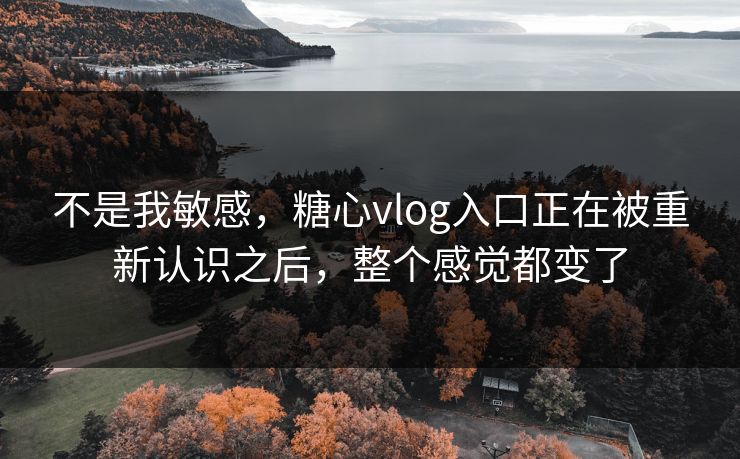 不是我敏感，糖心vlog入口正在被重新认识之后，整个感觉都变了