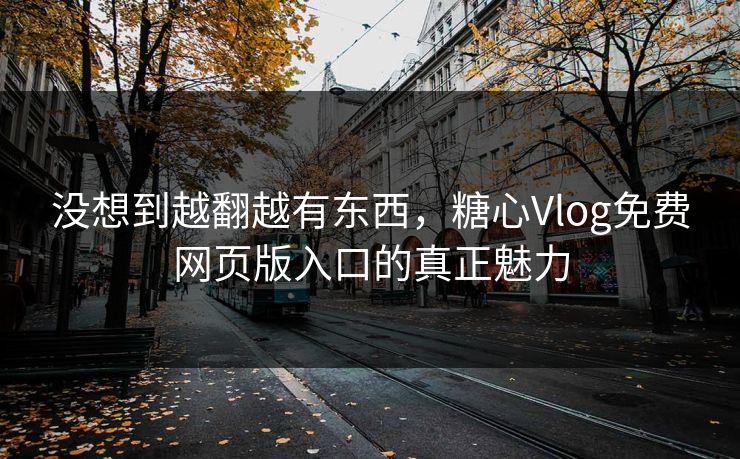 没想到越翻越有东西，糖心Vlog免费网页版入口的真正魅力