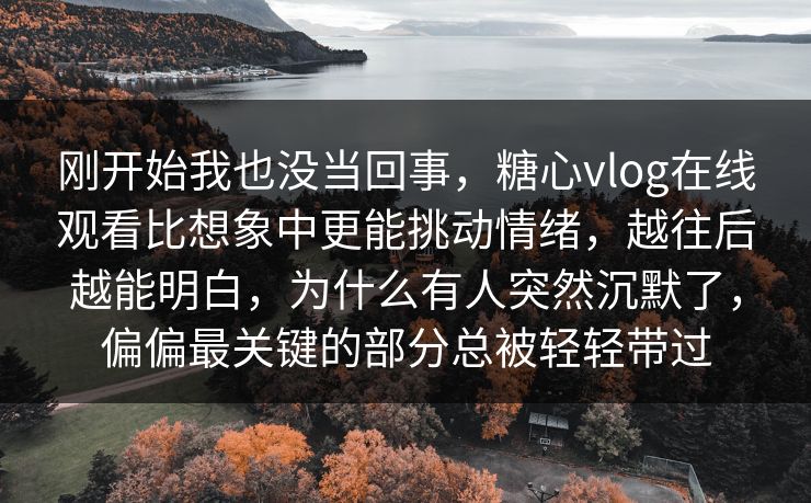 刚开始我也没当回事，糖心vlog在线观看比想象中更能挑动情绪，越往后越能明白，为什么有人突然沉默了，偏偏最关键的部分总被轻轻带过
