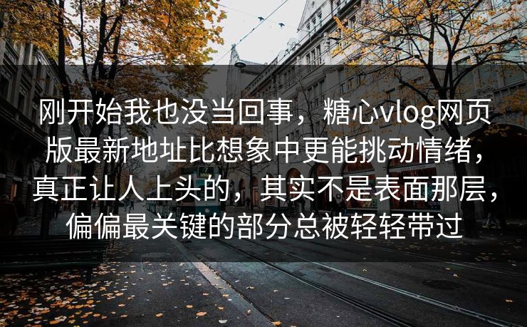 刚开始我也没当回事，糖心vlog网页版最新地址比想象中更能挑动情绪，真正让人上头的，其实不是表面那层，偏偏最关键的部分总被轻轻带过