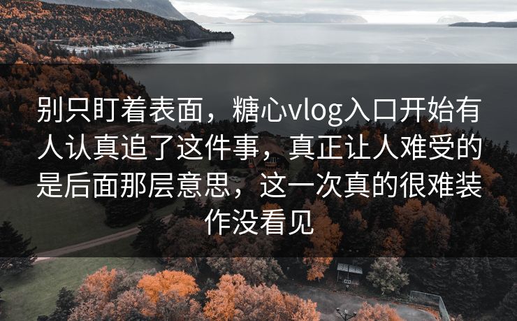 别只盯着表面，糖心vlog入口开始有人认真追了这件事，真正让人难受的是后面那层意思，这一次真的很难装作没看见