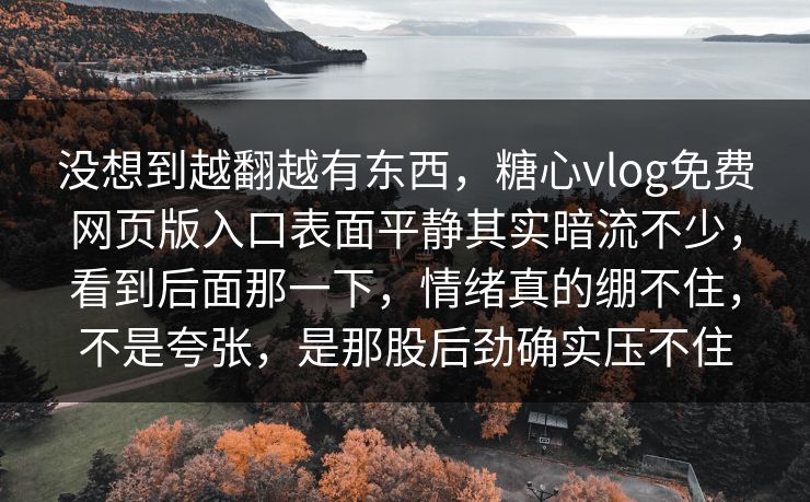 没想到越翻越有东西，糖心vlog免费网页版入口表面平静其实暗流不少，看到后面那一下，情绪真的绷不住，不是夸张，是那股后劲确实压不住