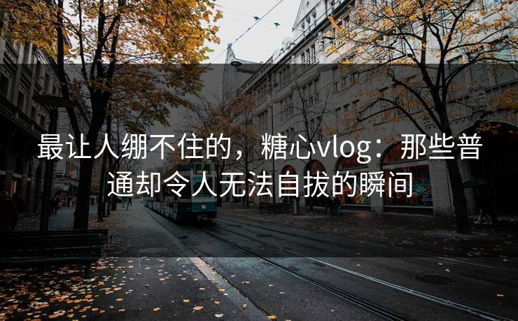 最让人绷不住的，糖心vlog：那些普通却令人无法自拔的瞬间